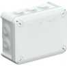 BOX-2